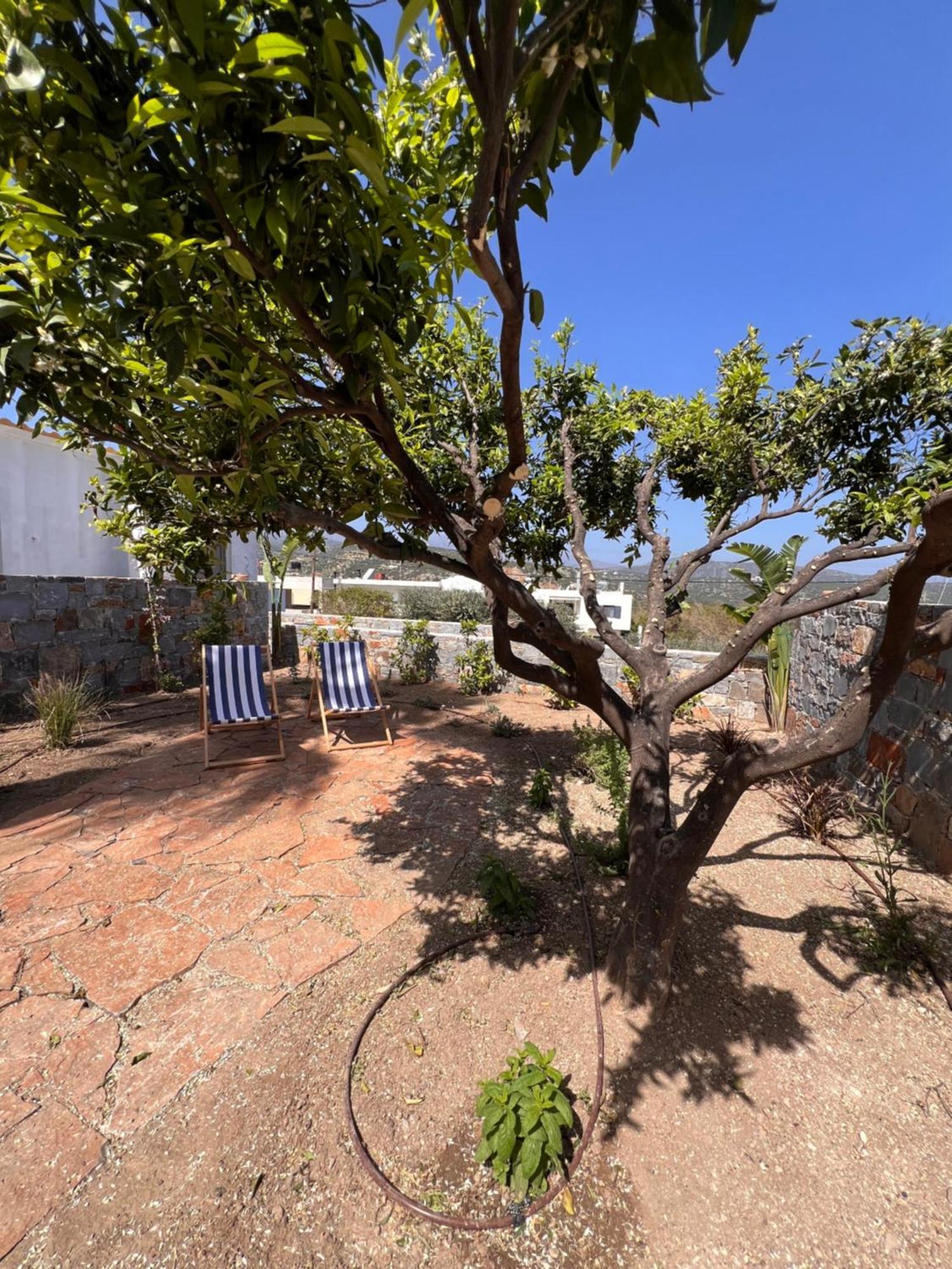 Gioma Garden Villas Istron Extérieur photo
