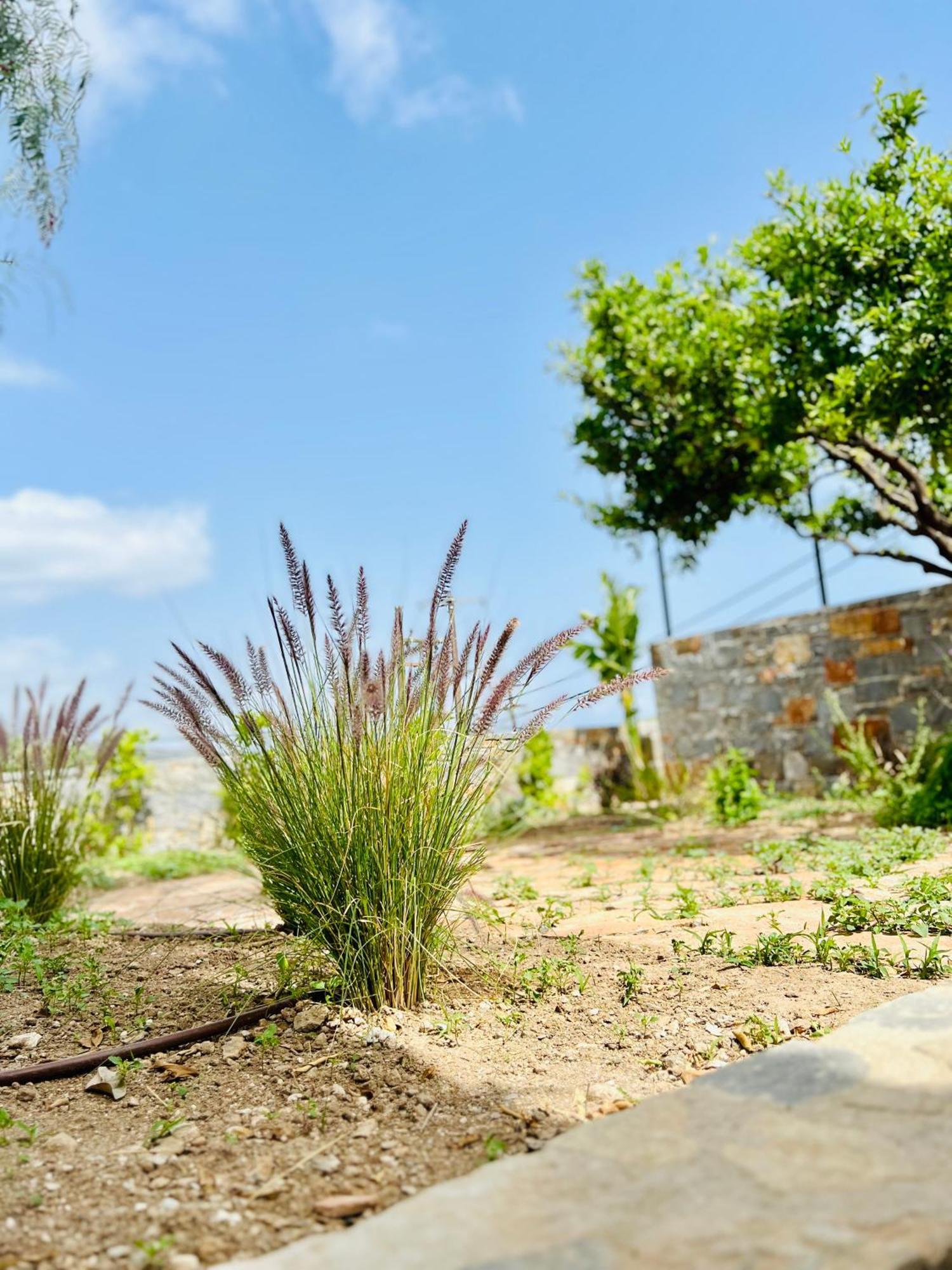 Gioma Garden Villas Istron Extérieur photo